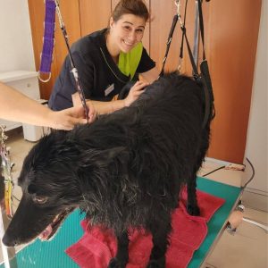 Groomer Anna Mauch