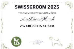 Zertifikat Swissgroom Zwergschnauzer